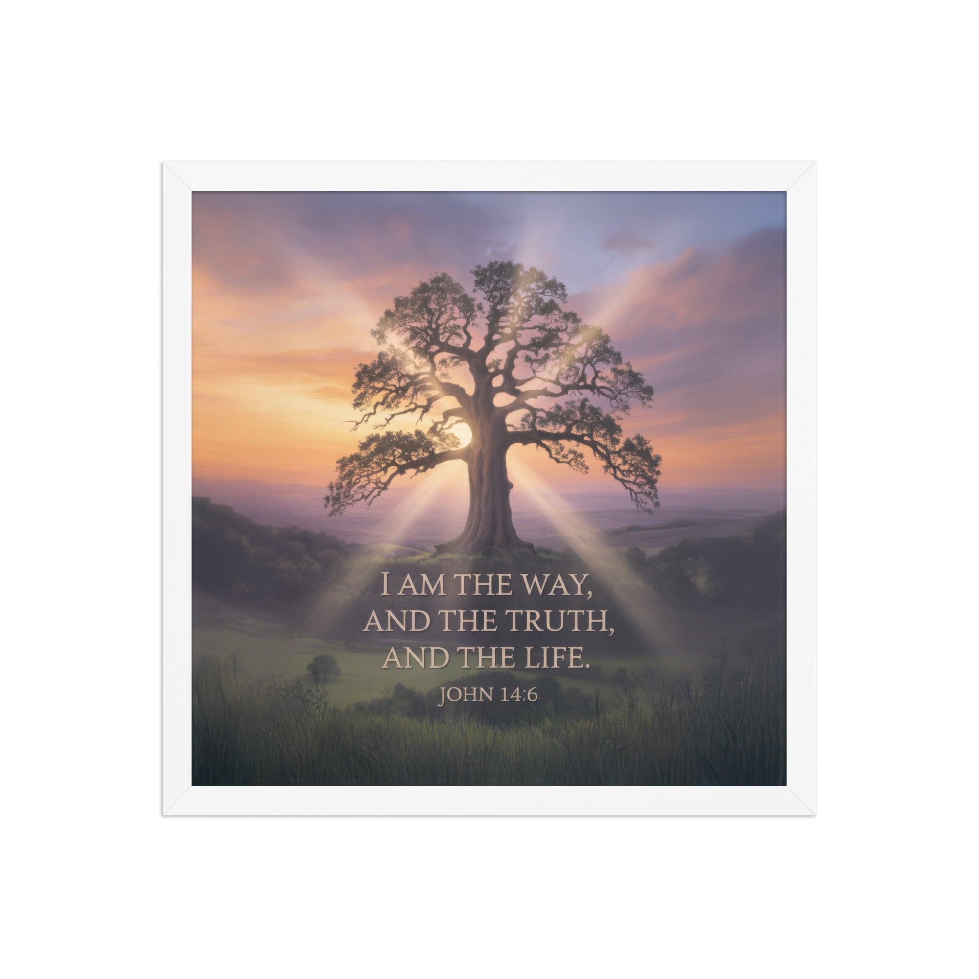 John 14:6 Bible Verse Jesus said Premium Luster Photo Paper Framed Poster White 16″×16″