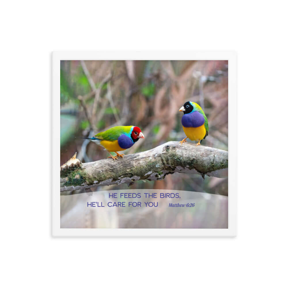Matthew 6:26 Gouldian Finches, He'll Care for You Premium Luster Photo Paper Framed Poster Wall Art White 16″×16″