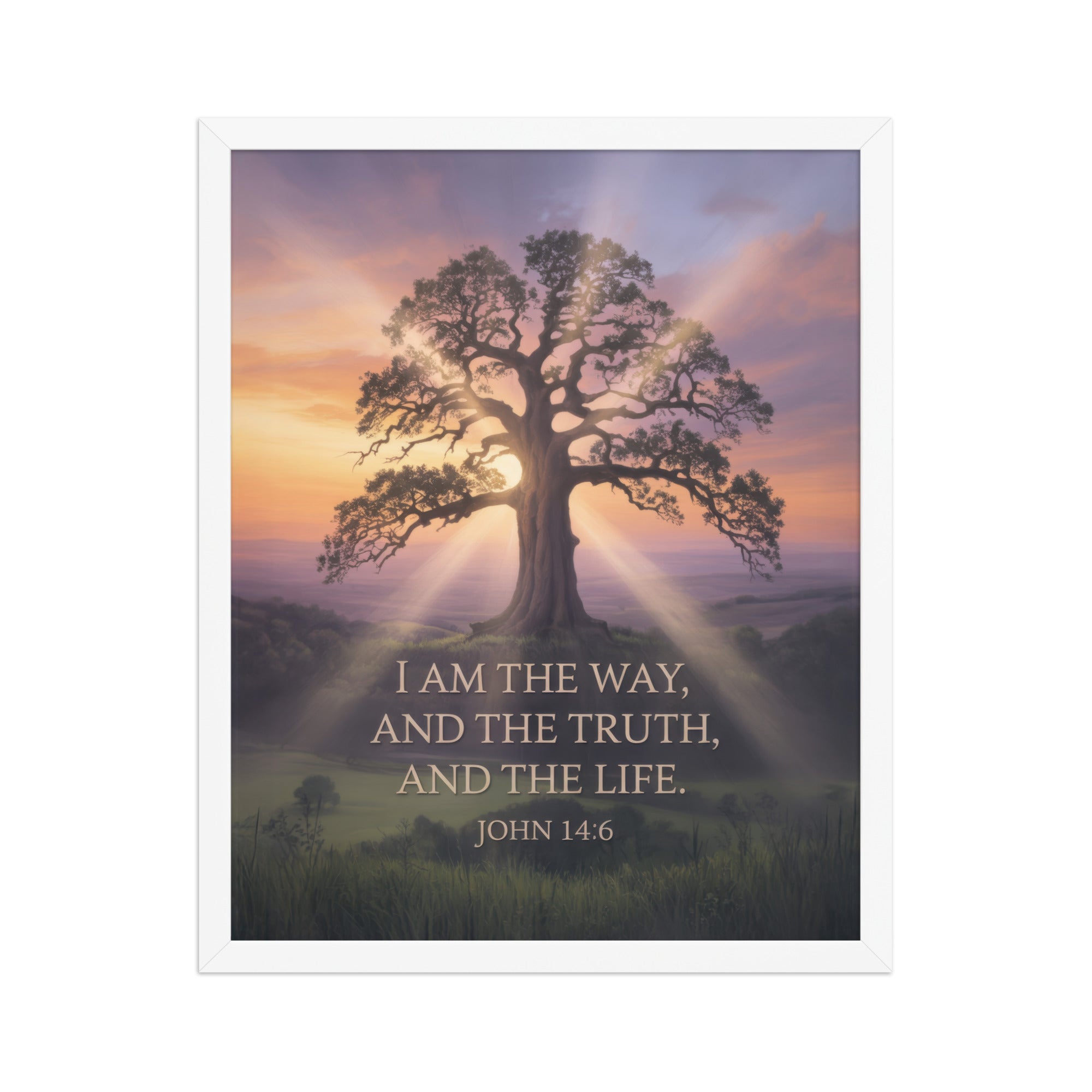 John 14:6 Bible Verse Jesus said Premium Luster Photo Paper Framed Poster White 16″×20″