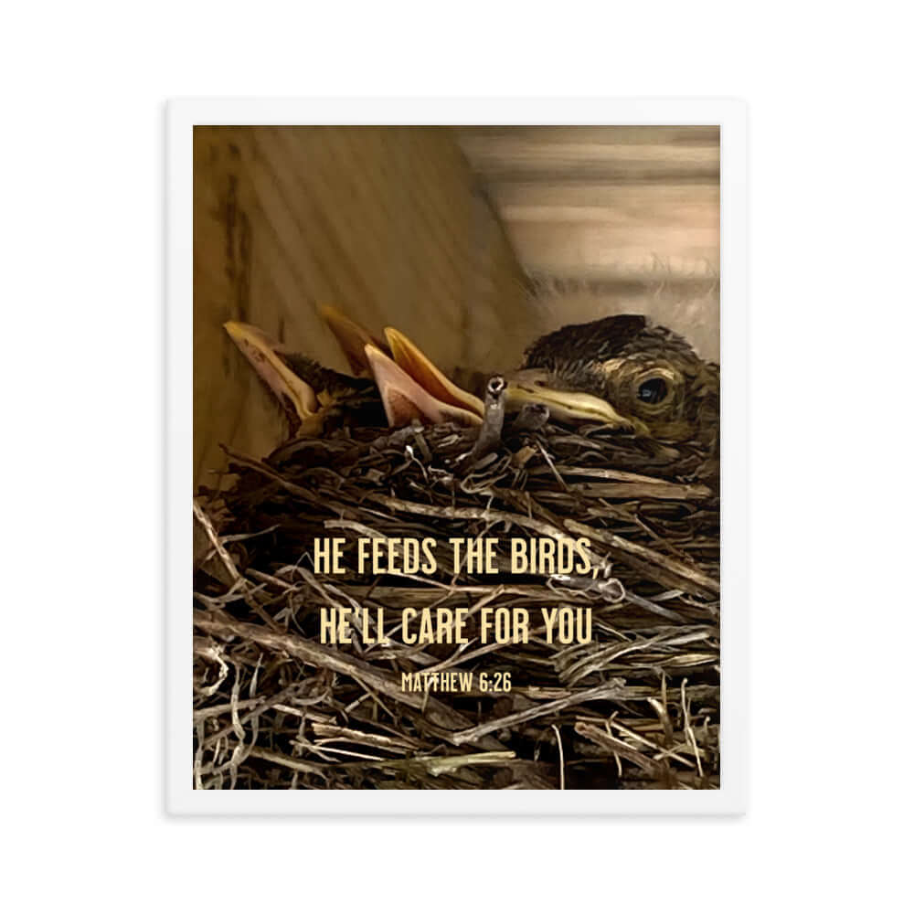 Matthew 6:26 Baby Robins, He'll Care for You Premium Luster Photo Paper Framed Poster Wall Art White 16″×20″