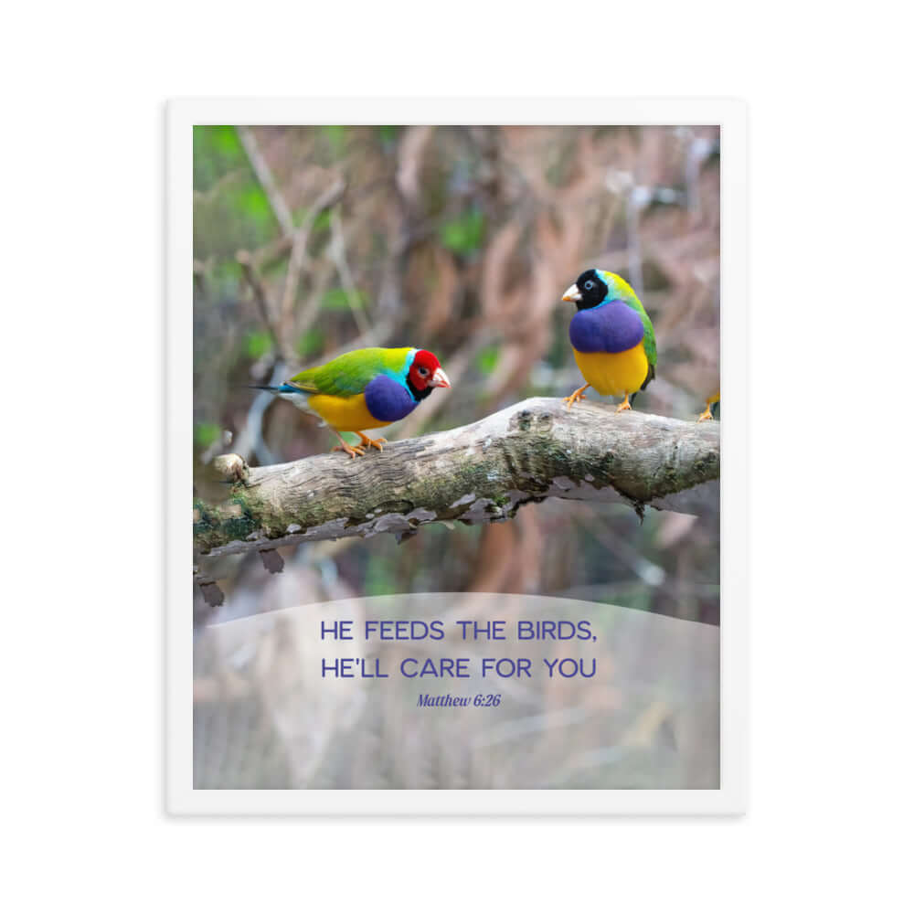 Matthew 6:26 Gouldian Finches, He'll Care for You Premium Luster Photo Paper Framed Poster Wall Art White 16″×20″