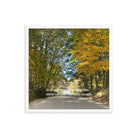 Proverbs 3:6 Bible Verse, Fall Road Premium Luster Photo Paper Framed Poster Wall Art White 18″×18″