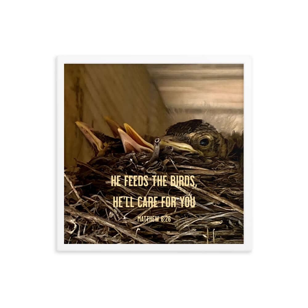 Matthew 6:26 Baby Robins, He'll Care for You Premium Luster Photo Paper Framed Poster Wall Art White 18″×18″