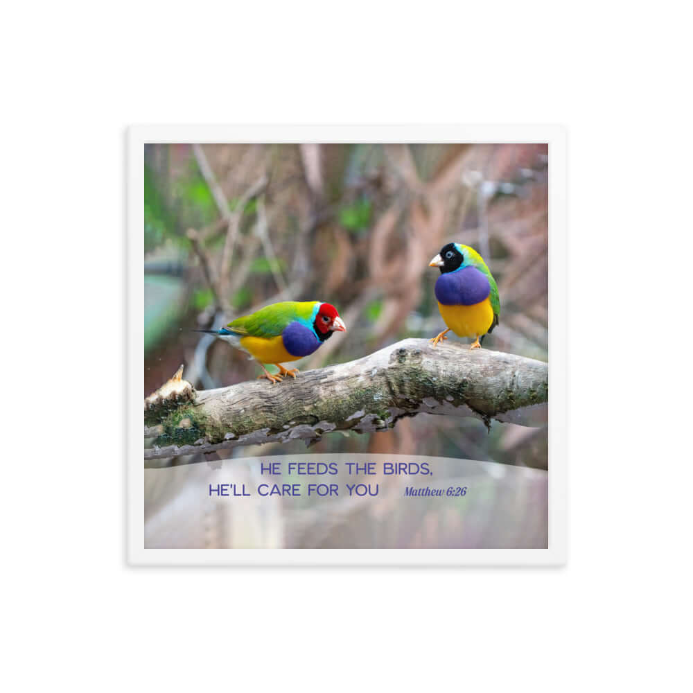 Matthew 6:26 Gouldian Finches, He'll Care for You Premium Luster Photo Paper Framed Poster Wall Art White 18″×18″