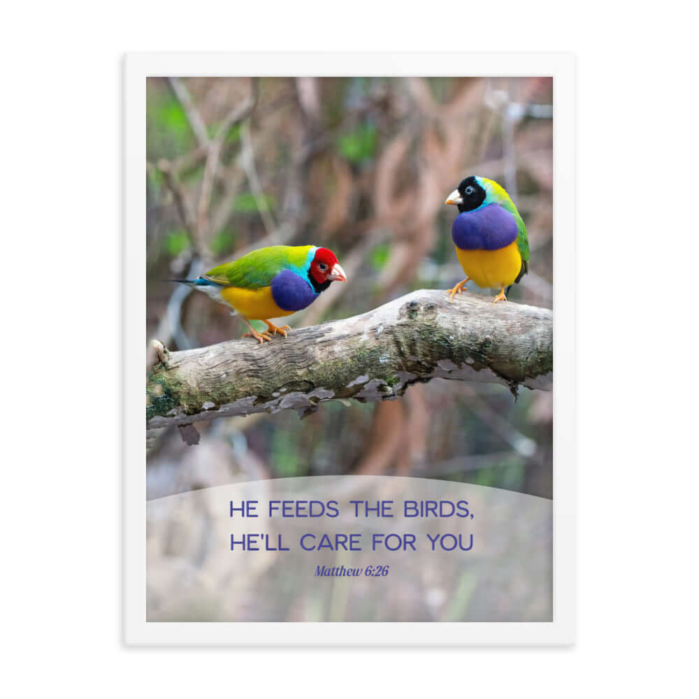Matthew 6:26 Gouldian Finches, He'll Care for You Premium Luster Photo Paper Framed Poster Wall Art White 18″×24″