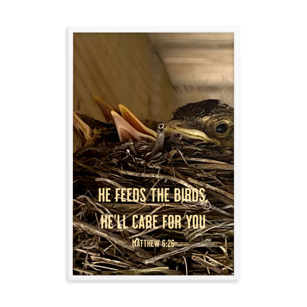 Matthew 6:26 Baby Robins, He'll Care for You Premium Luster Photo Paper Framed Poster Wall Art White 24″×36″