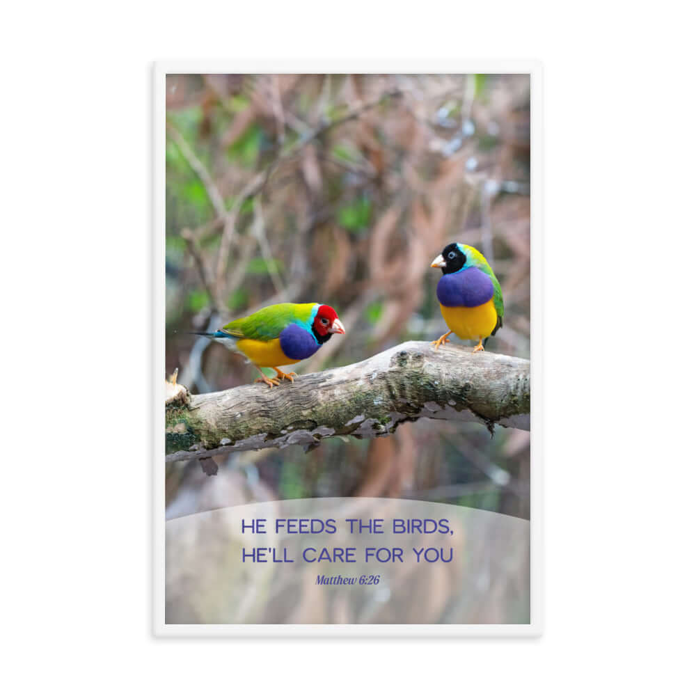Matthew 6:26 Gouldian Finches, He'll Care for You Premium Luster Photo Paper Framed Poster Wall Art White 24″×36″