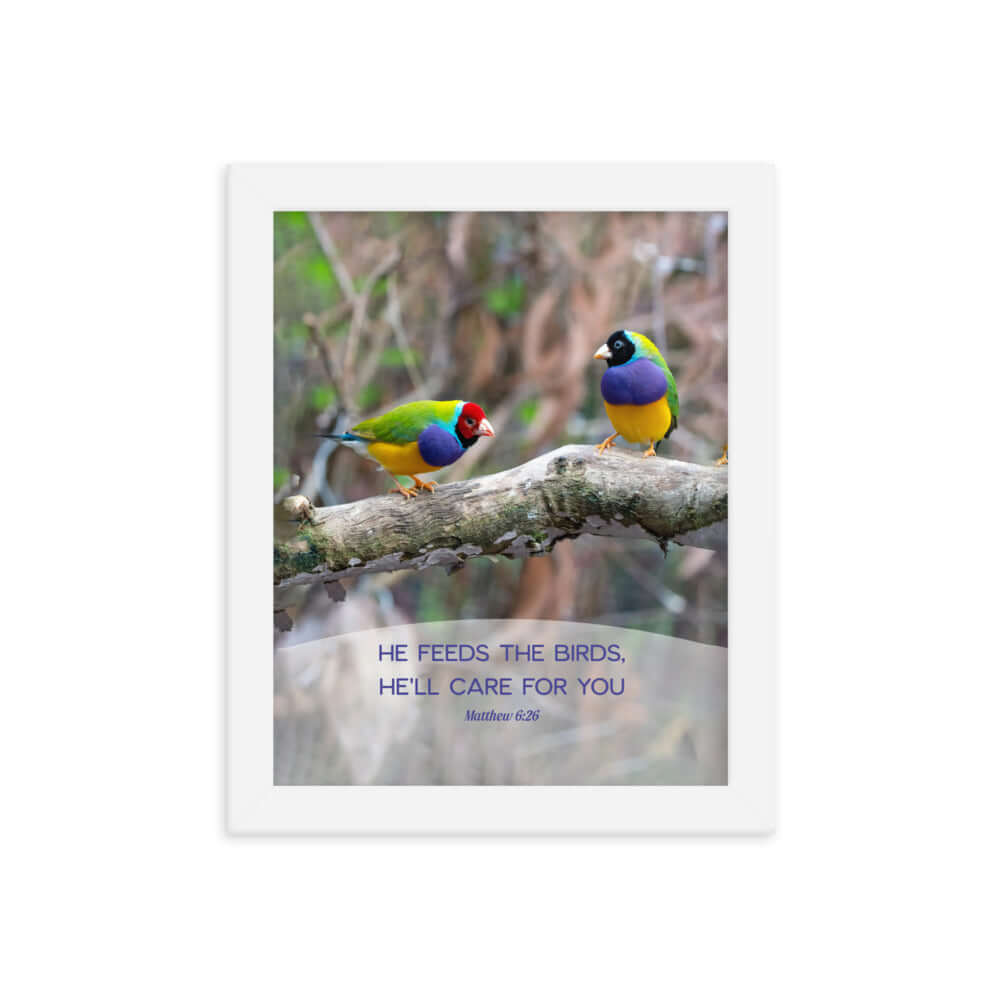 Matthew 6:26 Gouldian Finches, He'll Care for You Premium Luster Photo Paper Framed Poster Wall Art White 8″×10″