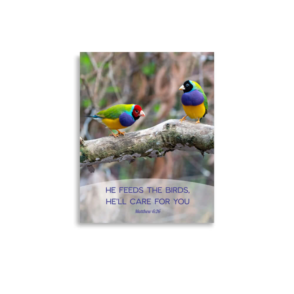Matthew 6:26 Gouldian Finches, He'll Care for You Premium Luster Photo Paper Poster Wall Art