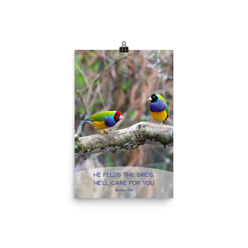 Matthew 6:26 Gouldian Finches, He'll Care for You Premium Luster Photo Paper Poster Wall Art 12″×18″