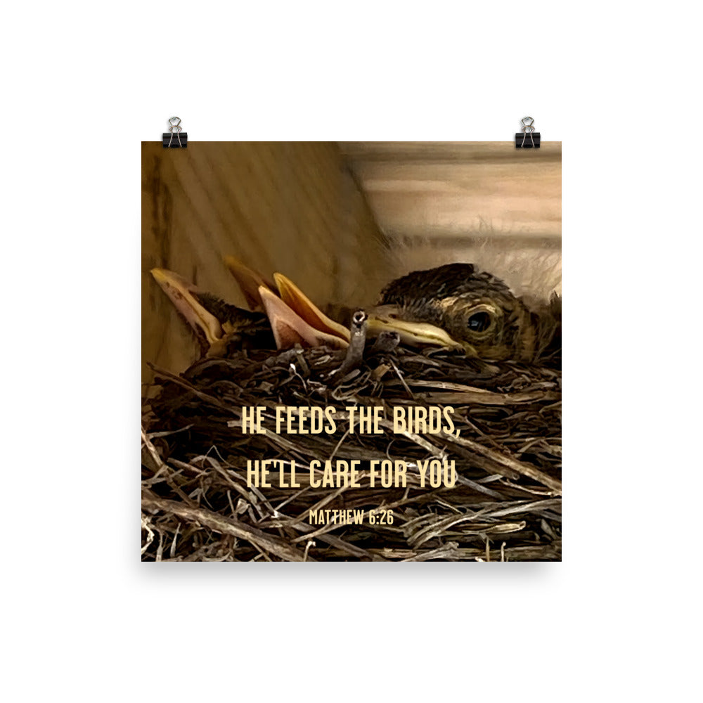 Matthew 6:26 Baby Robins, He'll Care for You Premium Luster Photo Paper Poster Wall Art 16″×16″