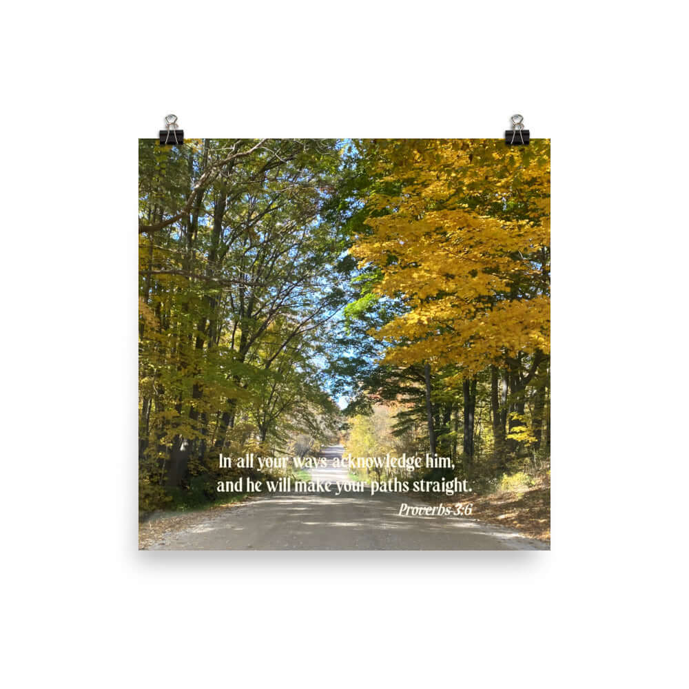 Proverbs 3:6 Bible Verse, Fall Road Premium Luster Photo Paper Poster Wall Art 16″×16″