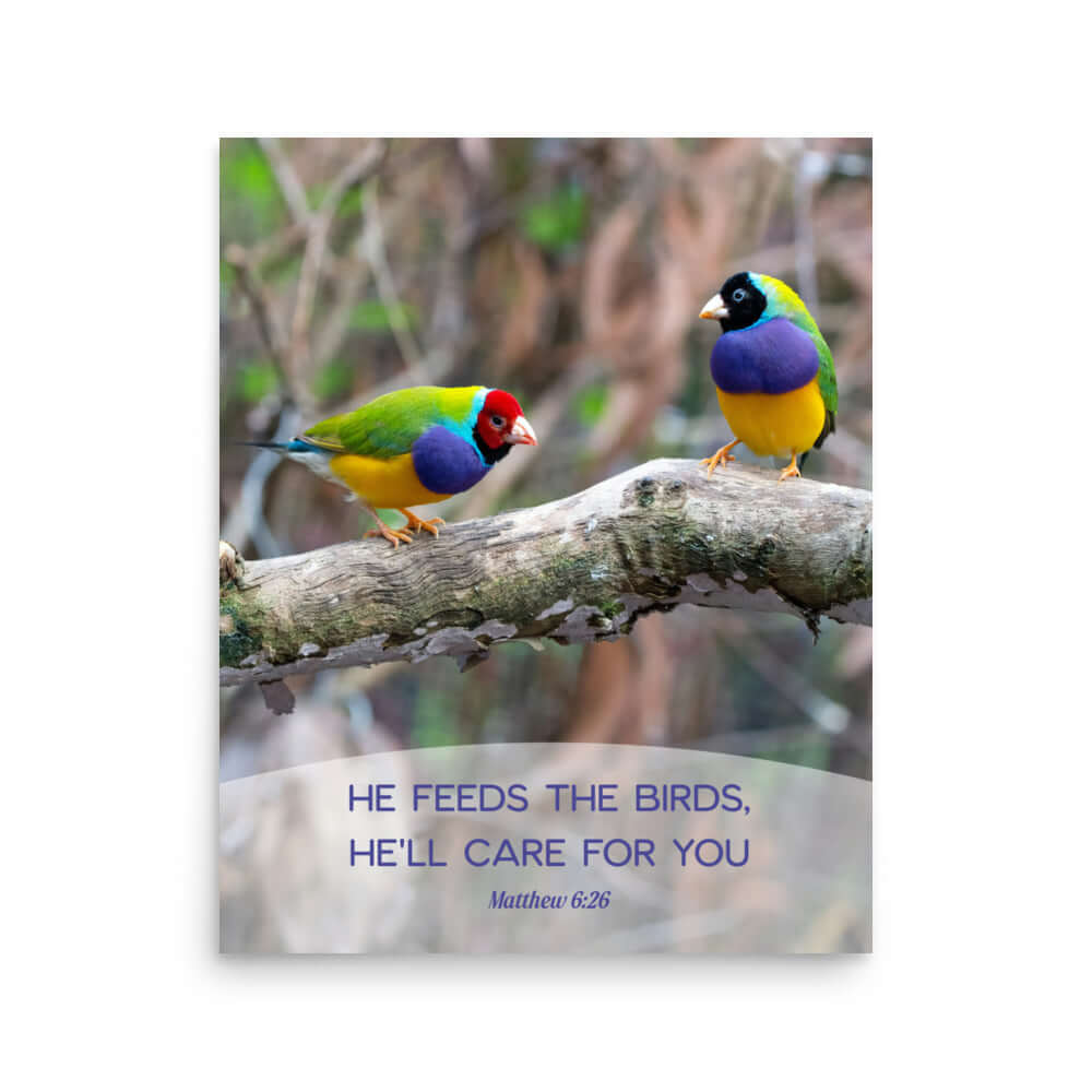 Matthew 6:26 Gouldian Finches, He'll Care for You Premium Luster Photo Paper Poster Wall Art