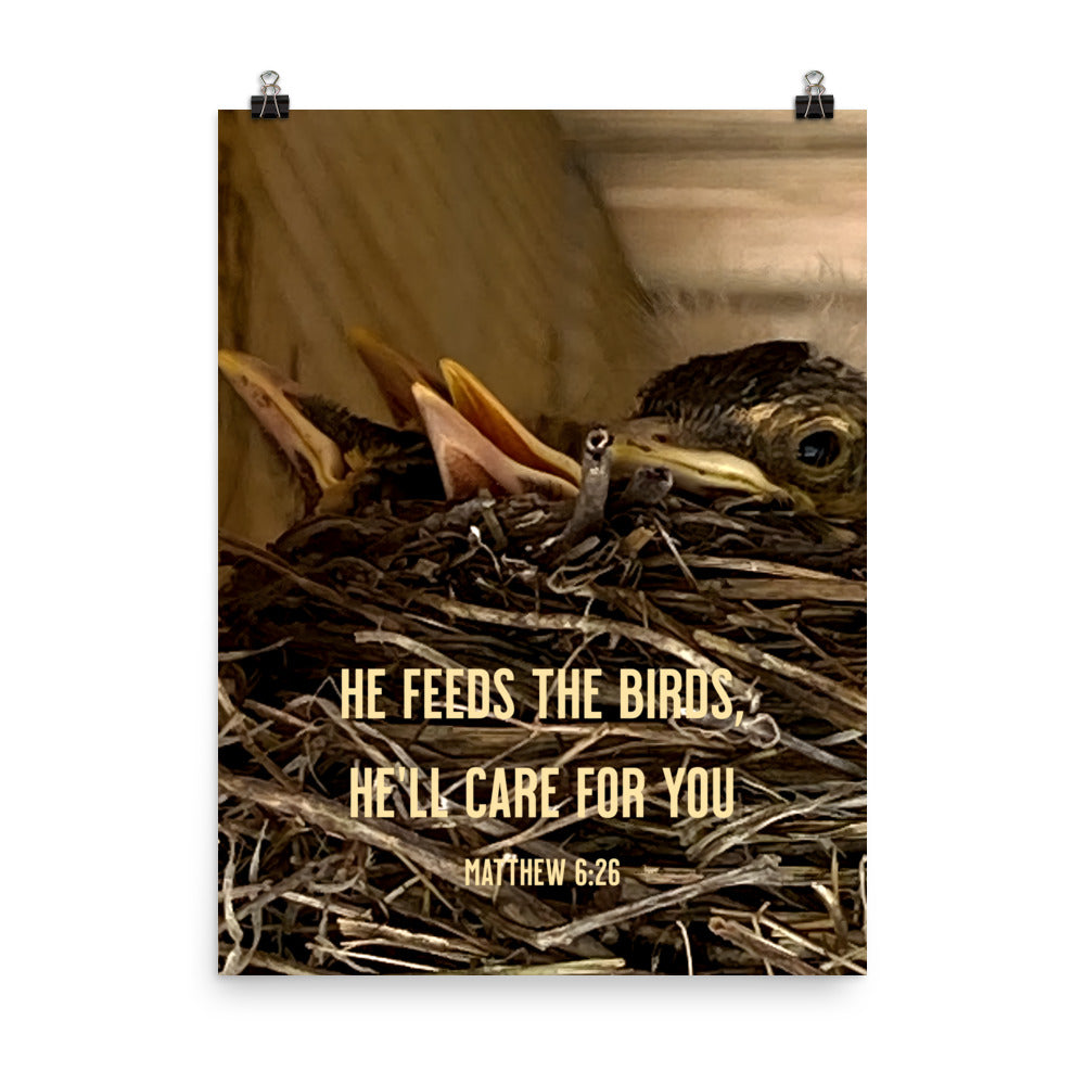 Matthew 6:26 Baby Robins, He'll Care for You Premium Luster Photo Paper Poster Wall Art 18″×24″