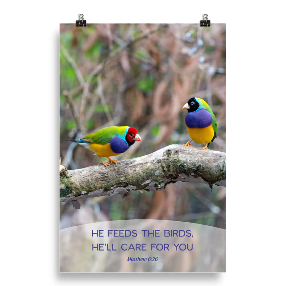 Matthew 6:26 Gouldian Finches, He'll Care for You Premium Luster Photo Paper Poster Wall Art 20″×30″