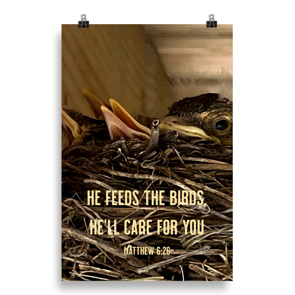 Matthew 6:26 Baby Robins, He'll Care for You Premium Luster Photo Paper Poster Wall Art 20″×30″