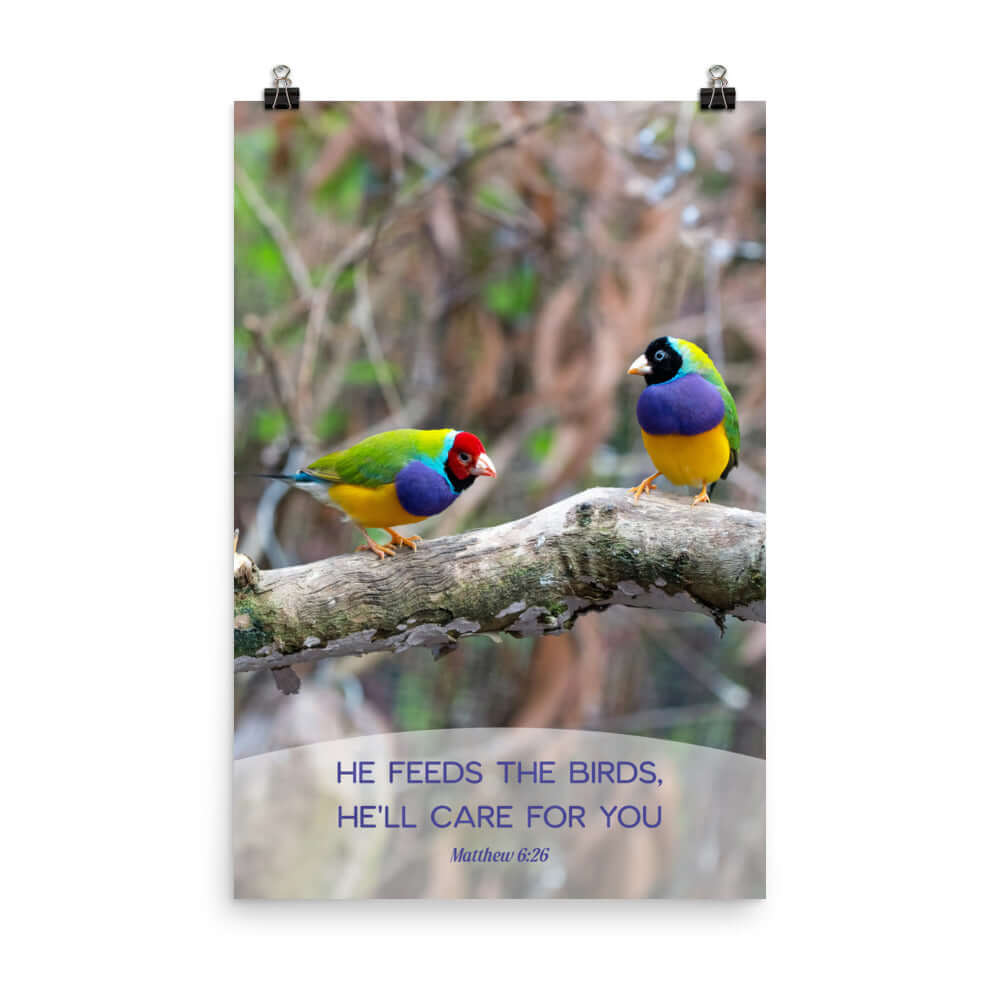 Matthew 6:26 Gouldian Finches, He'll Care for You Premium Luster Photo Paper Poster Wall Art 24″×36″