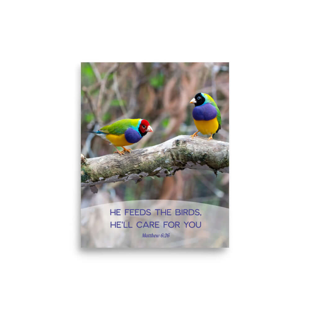 Matthew 6:26 Gouldian Finches, He'll Care for You Premium Luster Photo Paper Poster Wall Art