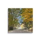 Prov 3:6, Bible Verse, Fall Road Canvas