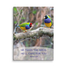 Matt 6:26, Gouldian Finches, He'll Care for You Canvas