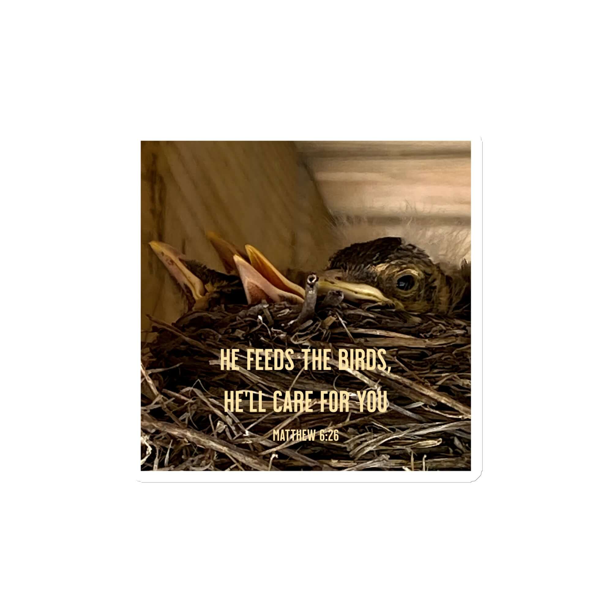 Matt 6:26, Baby Robins, He'll Care for You Die-Cut Magnet