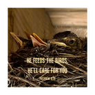 Matt 6:26, Baby Robins, He'll Care for You Die-Cut Magnet