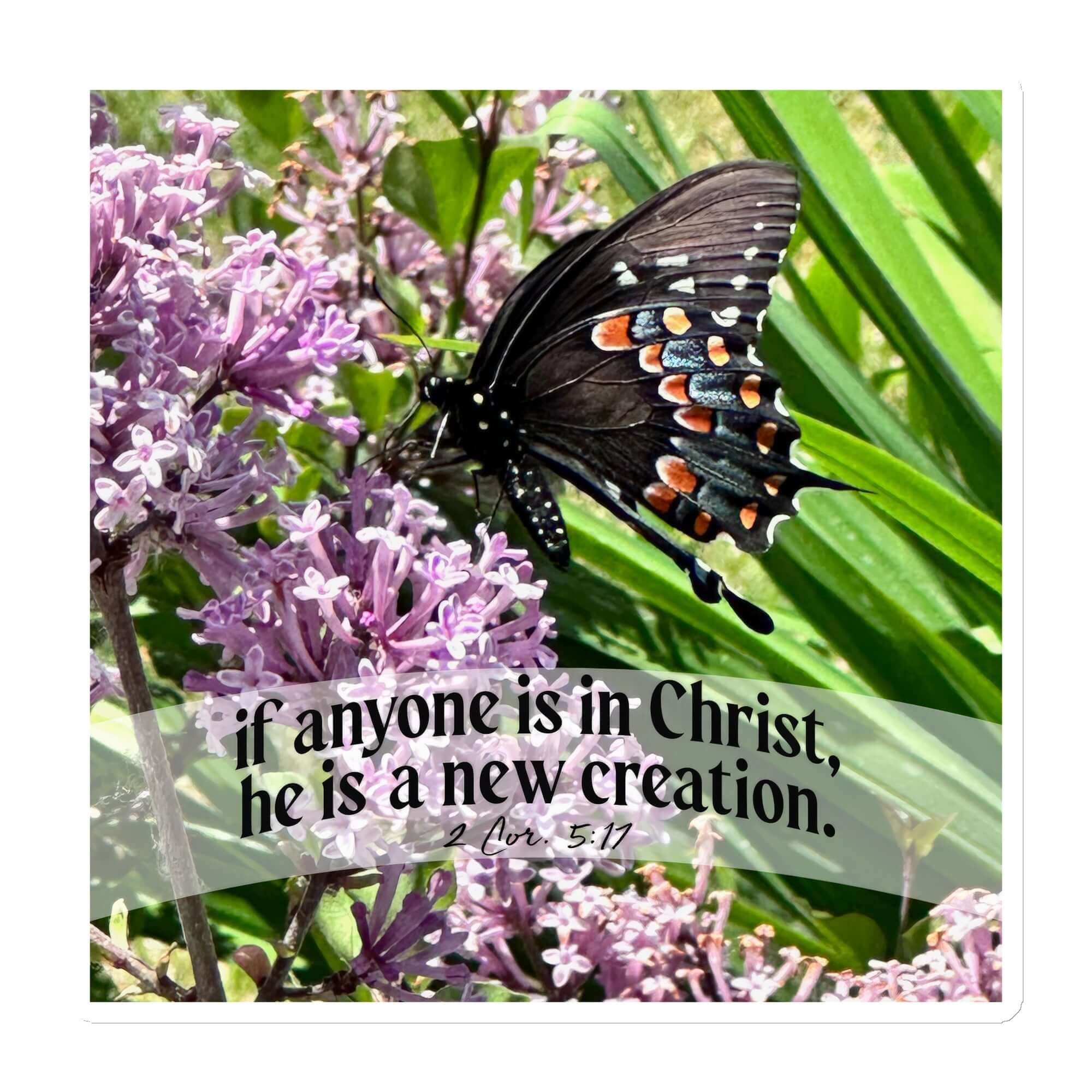 2 Cor. 5:17 Bible Verse, Butterfly Die-Cut Magnet