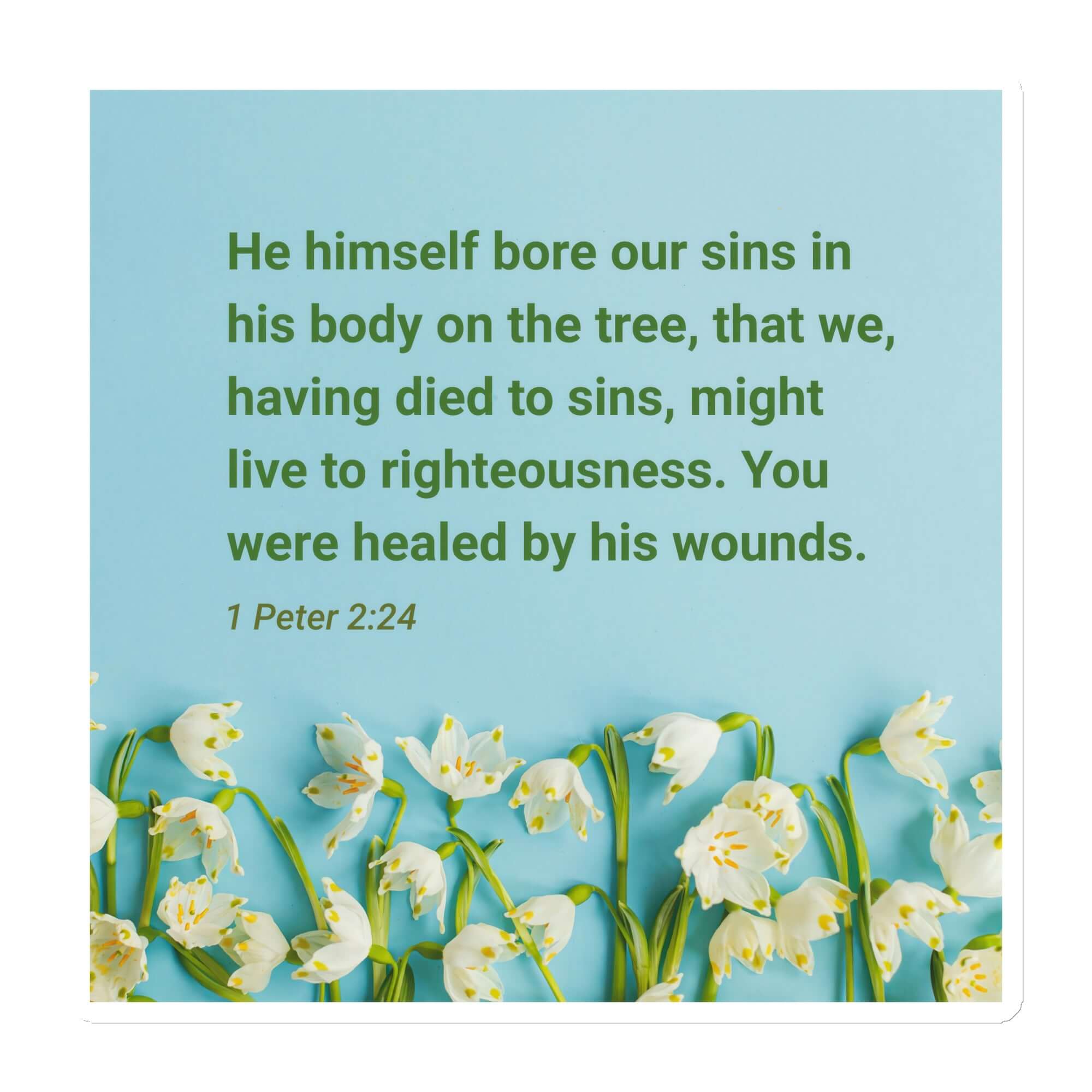 1 Peter 2:24 - Bible Verse, healed by His wounds Die-Cut Magnet