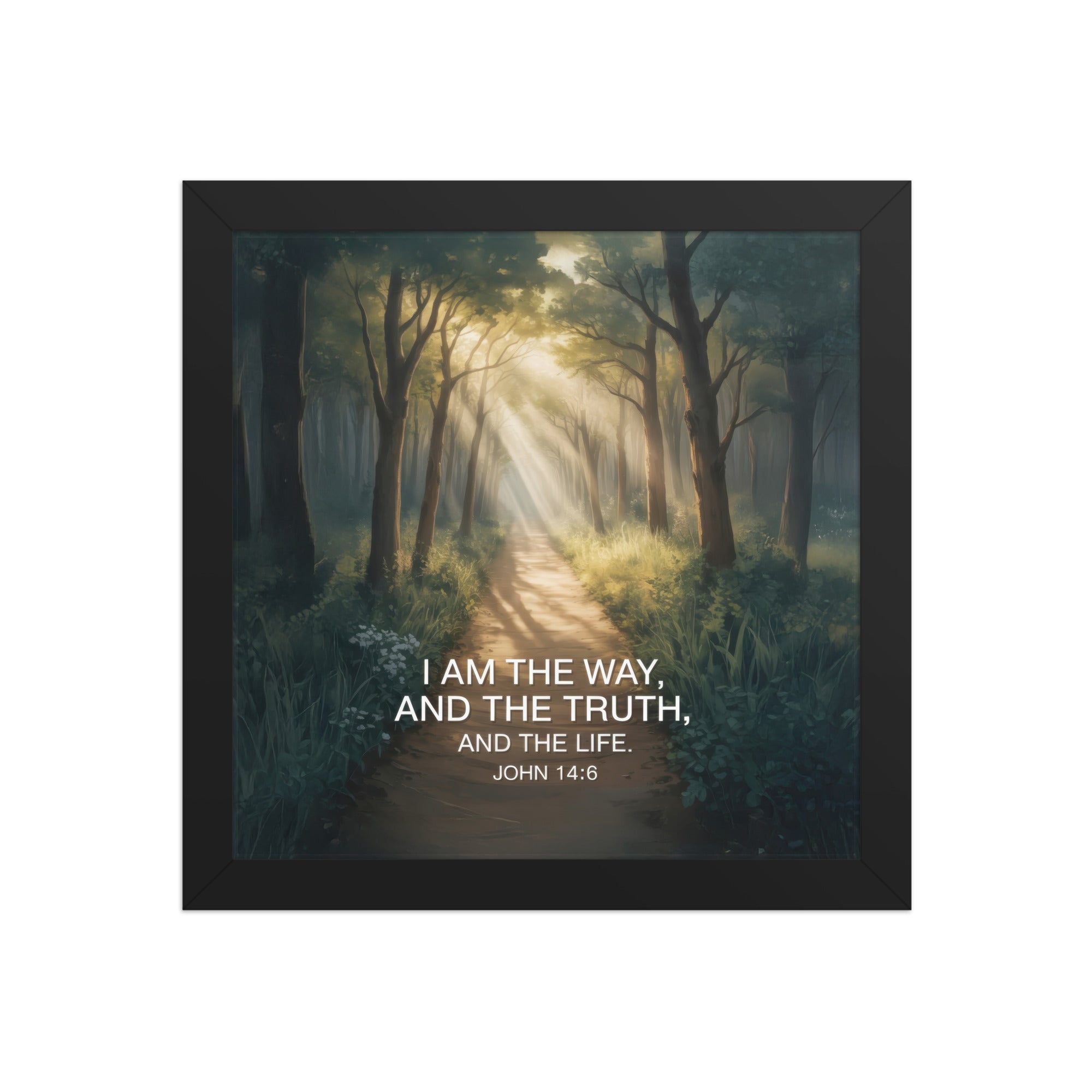 John 14:6 Bible Verse I Am Enhanced Matte Paper Framed Poster Black 10″×10″