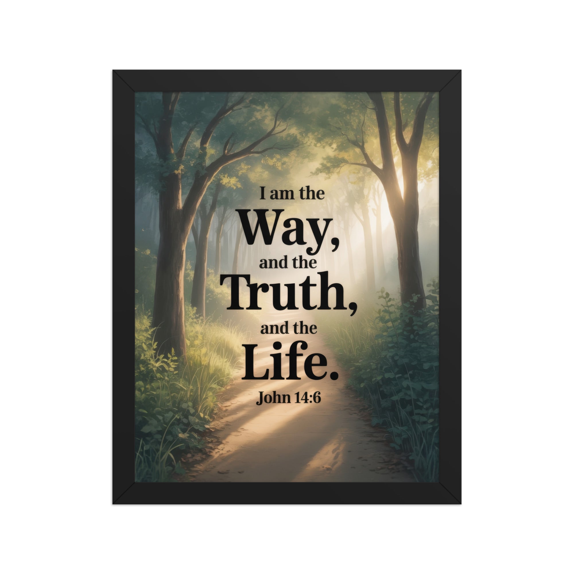 John 14:6 Bible Verse The Life Enhanced Matte Paper Framed Poster Black 11″×14″