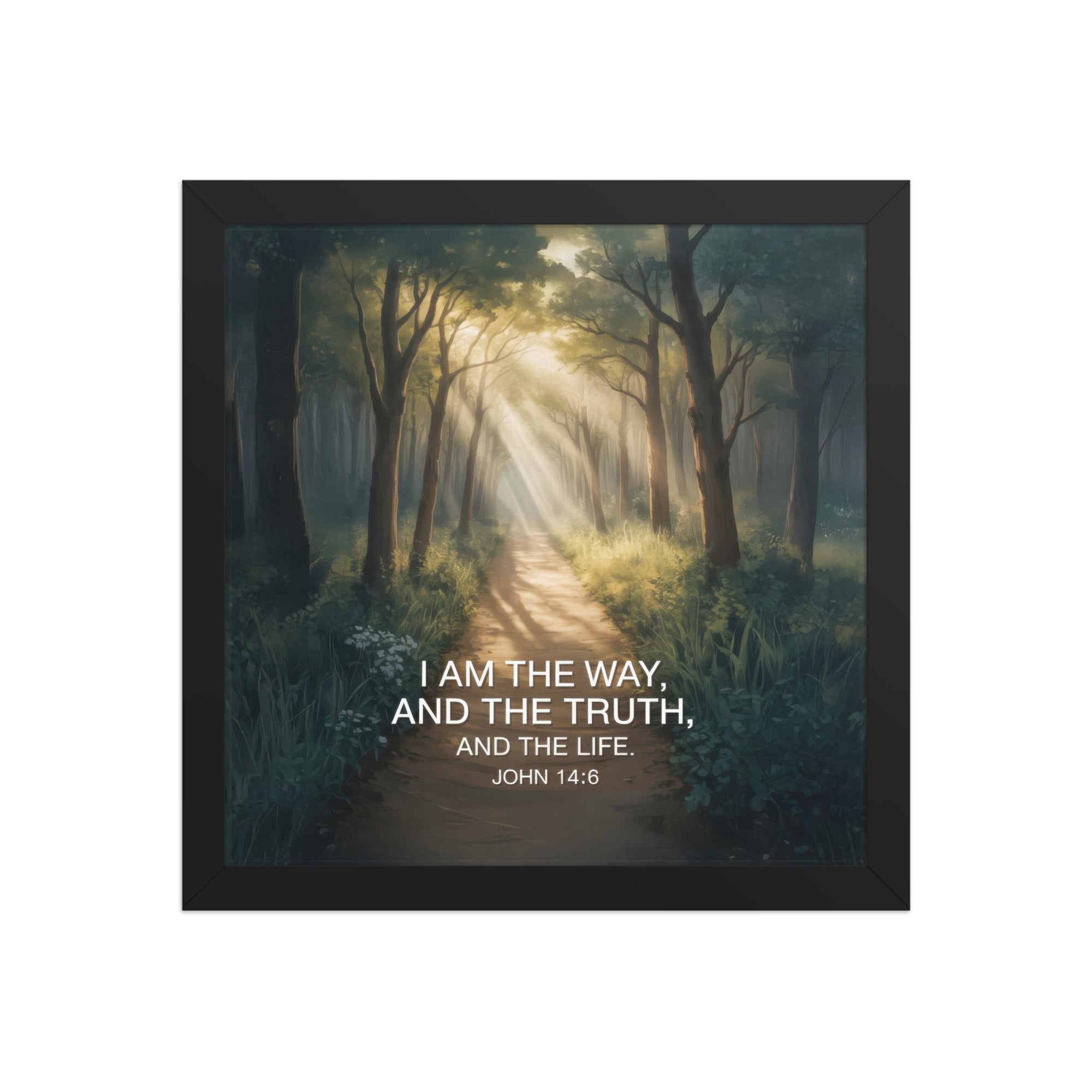 John 14:6 Bible Verse I Am Enhanced Matte Paper Framed Poster Black 12″×12″