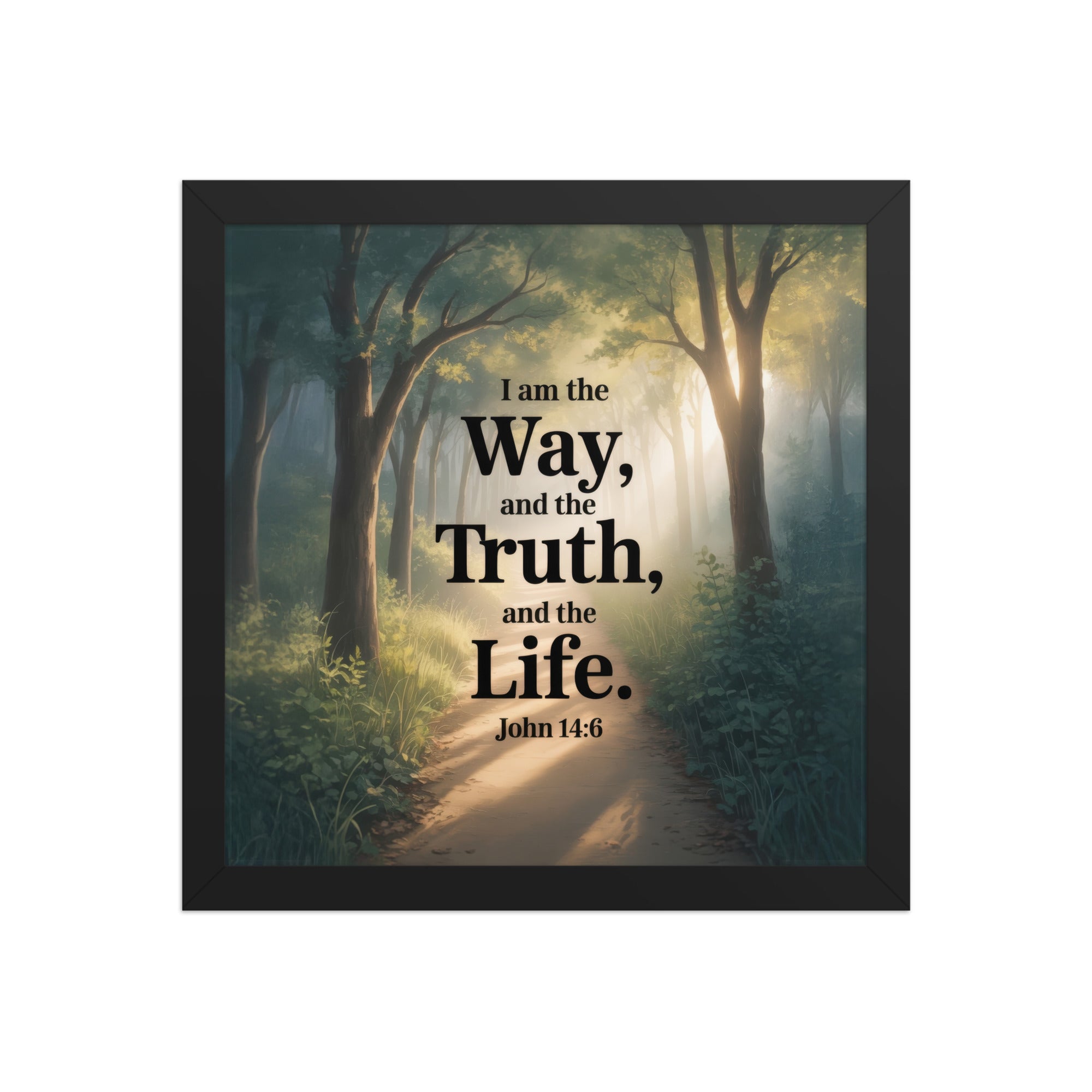John 14:6 Bible Verse The Life Enhanced Matte Paper Framed Poster Black 12″×12″