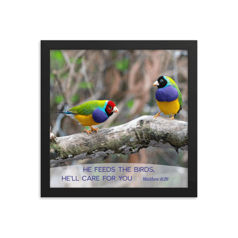 Matt 6:26, Gouldian Finches, He'll Care for You Framed Poster