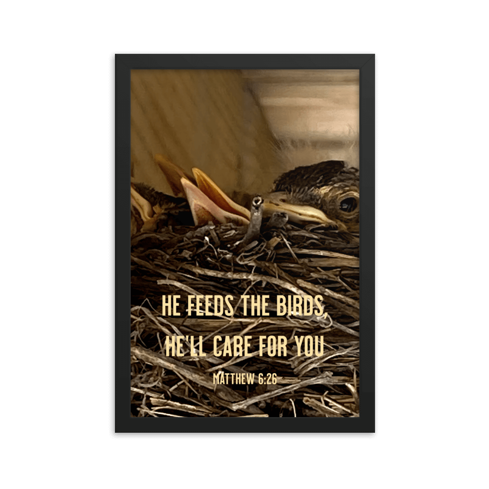 Matt 6:26, Baby Robins, He'll Care for You Framed Poster