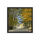 Prov 3:6, Bible Verse, Fall Road Framed Poster