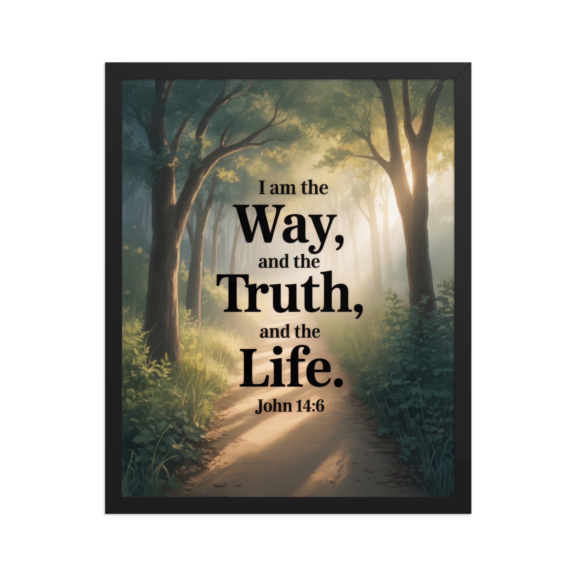 John 14:6 Bible Verse The Life Enhanced Matte Paper Framed Poster Black 16″×20″
