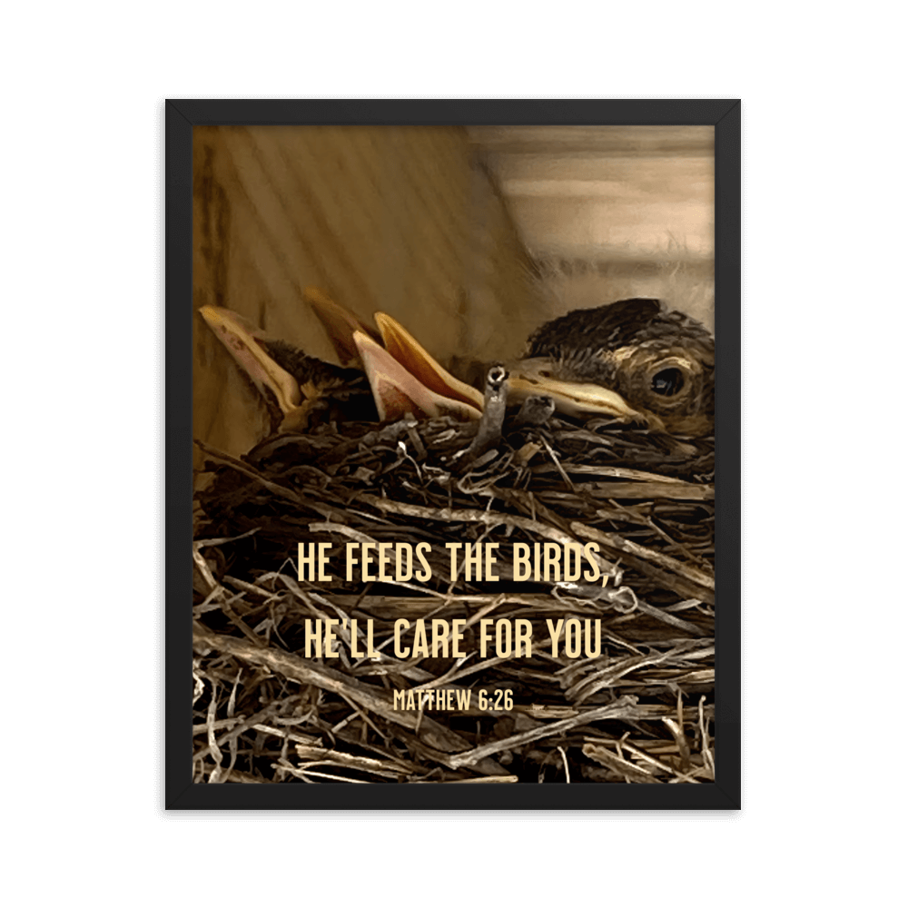 Matt 6:26, Baby Robins, He'll Care for You Framed Poster