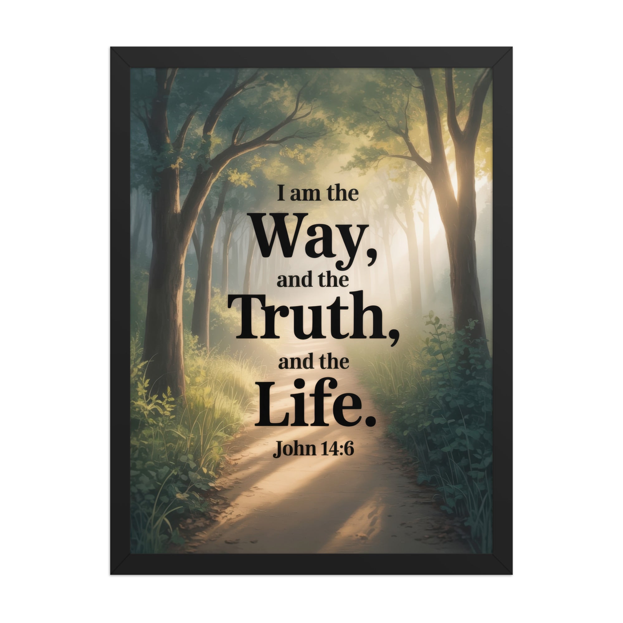 John 14:6 Bible Verse The Life Enhanced Matte Paper Framed Poster Black 18″×24″