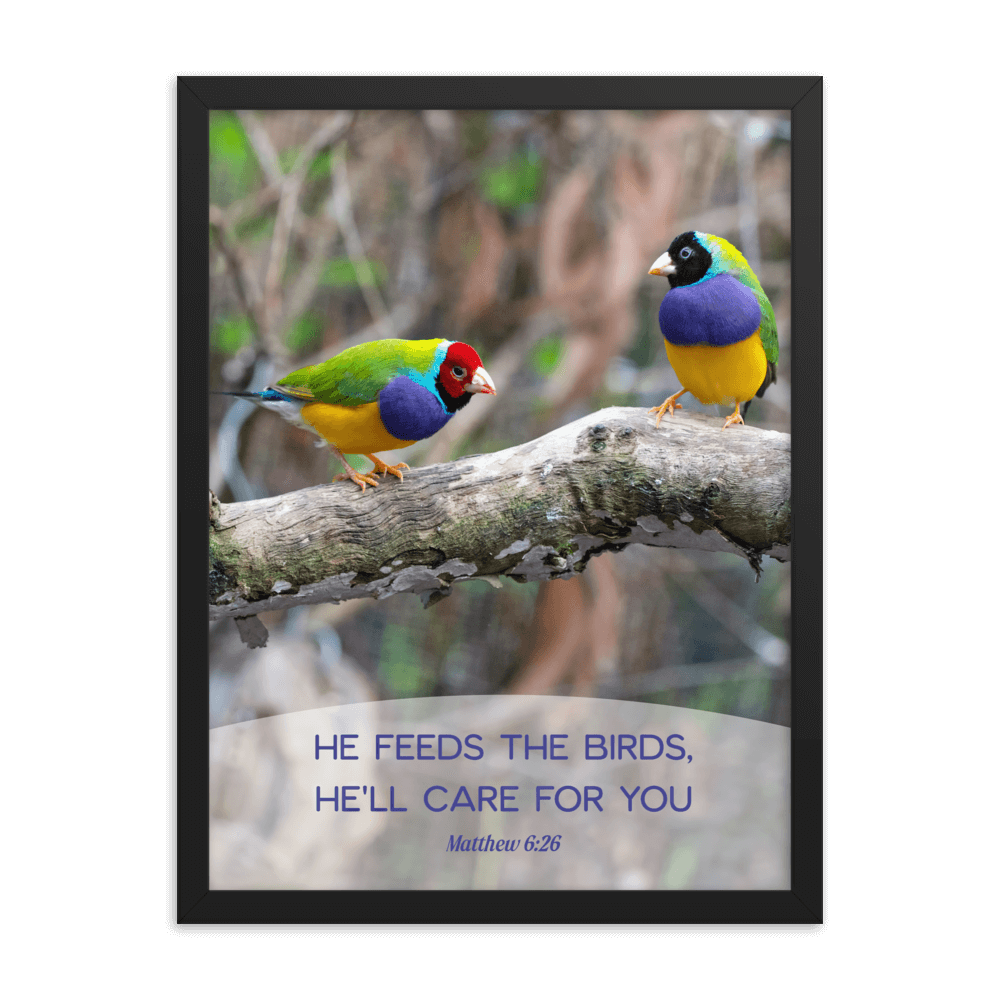 Matt 6:26, Gouldian Finches, He'll Care for You Framed Poster