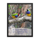 Matt 6:26, Gouldian Finches, He'll Care for You Framed Poster