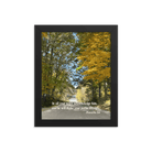 Prov 3:6, Bible Verse, Fall Road Framed Poster