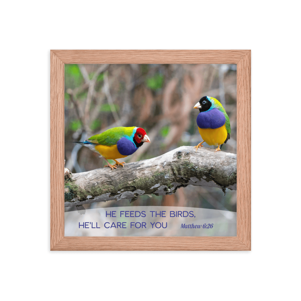 Matt 6:26, Gouldian Finches, He'll Care for You Framed Poster