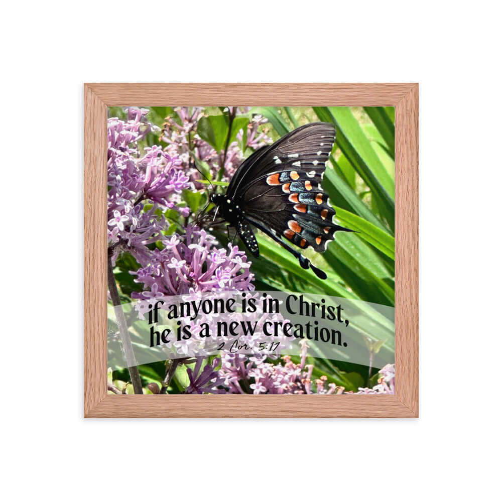 2 Cor. 5:17 Bible Verse, Butterfly Framed Poster