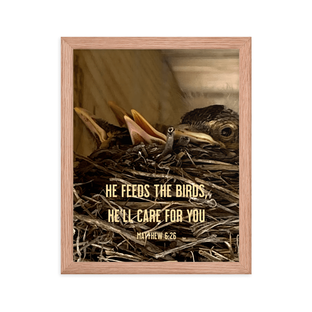 Matt 6:26, Baby Robins, He'll Care for You Framed Poster