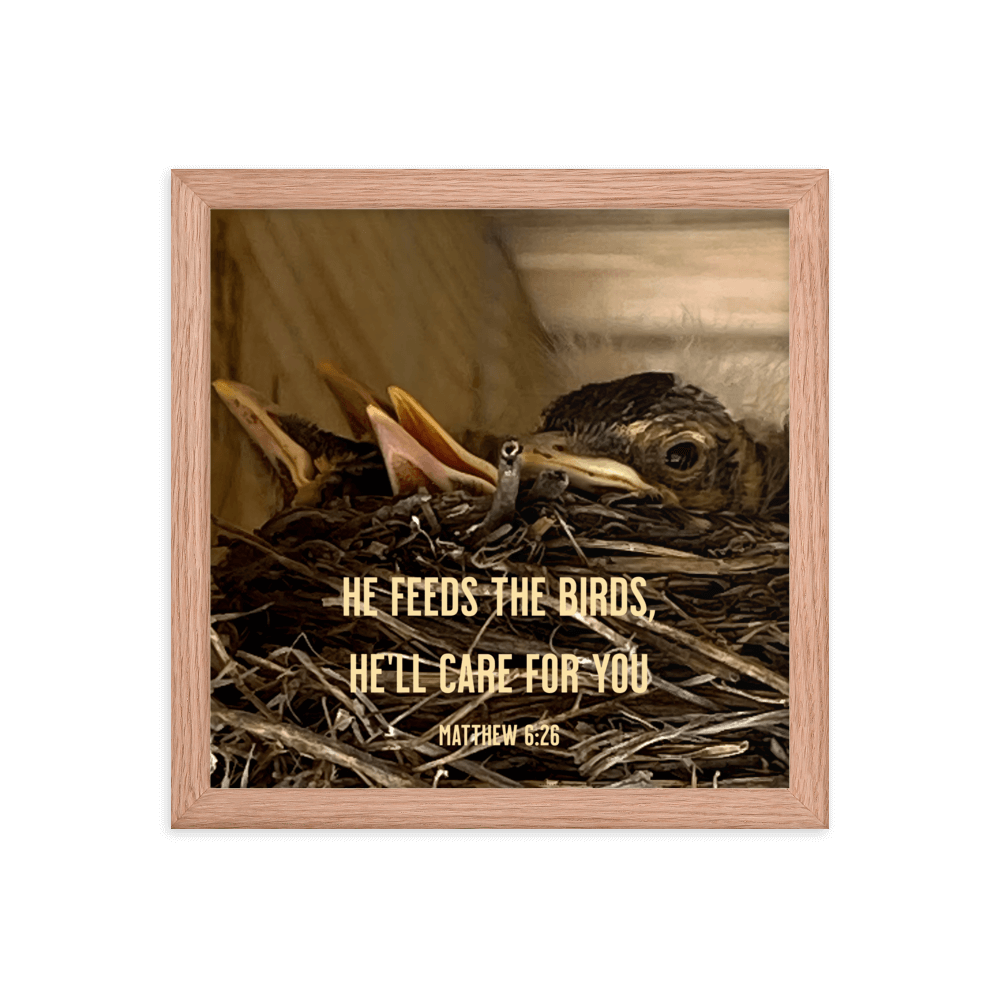 Matt 6:26, Baby Robins, He'll Care for You Framed Poster