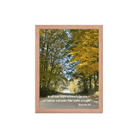 Prov 3:6, Bible Verse, Fall Road Framed Poster