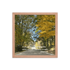 Prov 3:6, Bible Verse, Fall Road Framed Poster