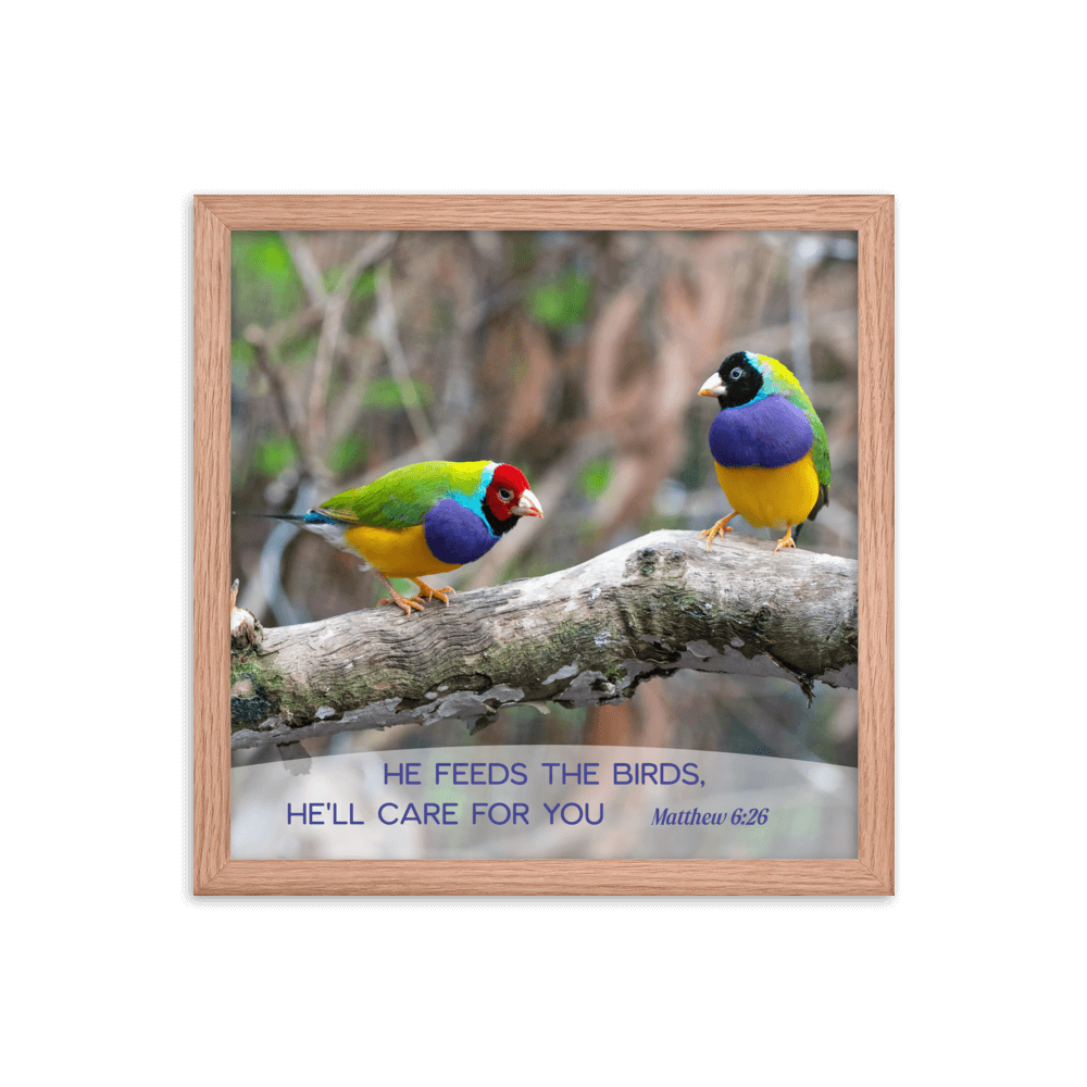 Matt 6:26, Gouldian Finches, He'll Care for You Framed Poster