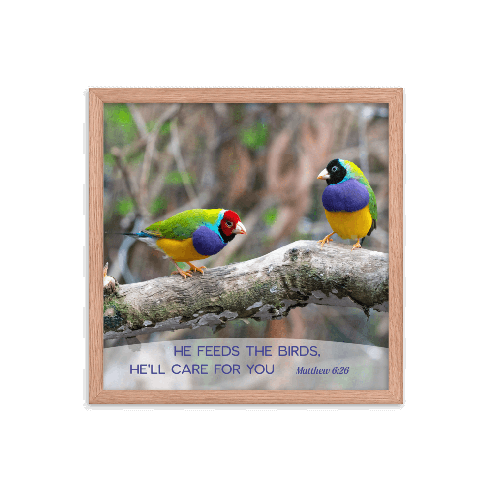 Matt 6:26, Gouldian Finches, He'll Care for You Framed Poster