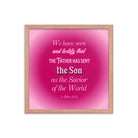 1 John 4:14 - Bible Verse, that the Father Enhanced Matte Paper Framed Poster